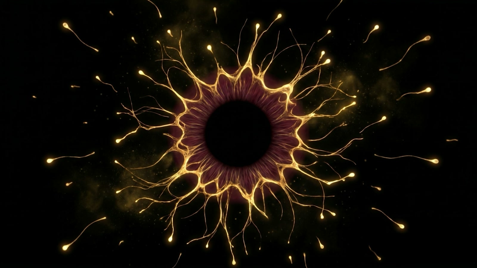 Filaments assembling into a ring of light