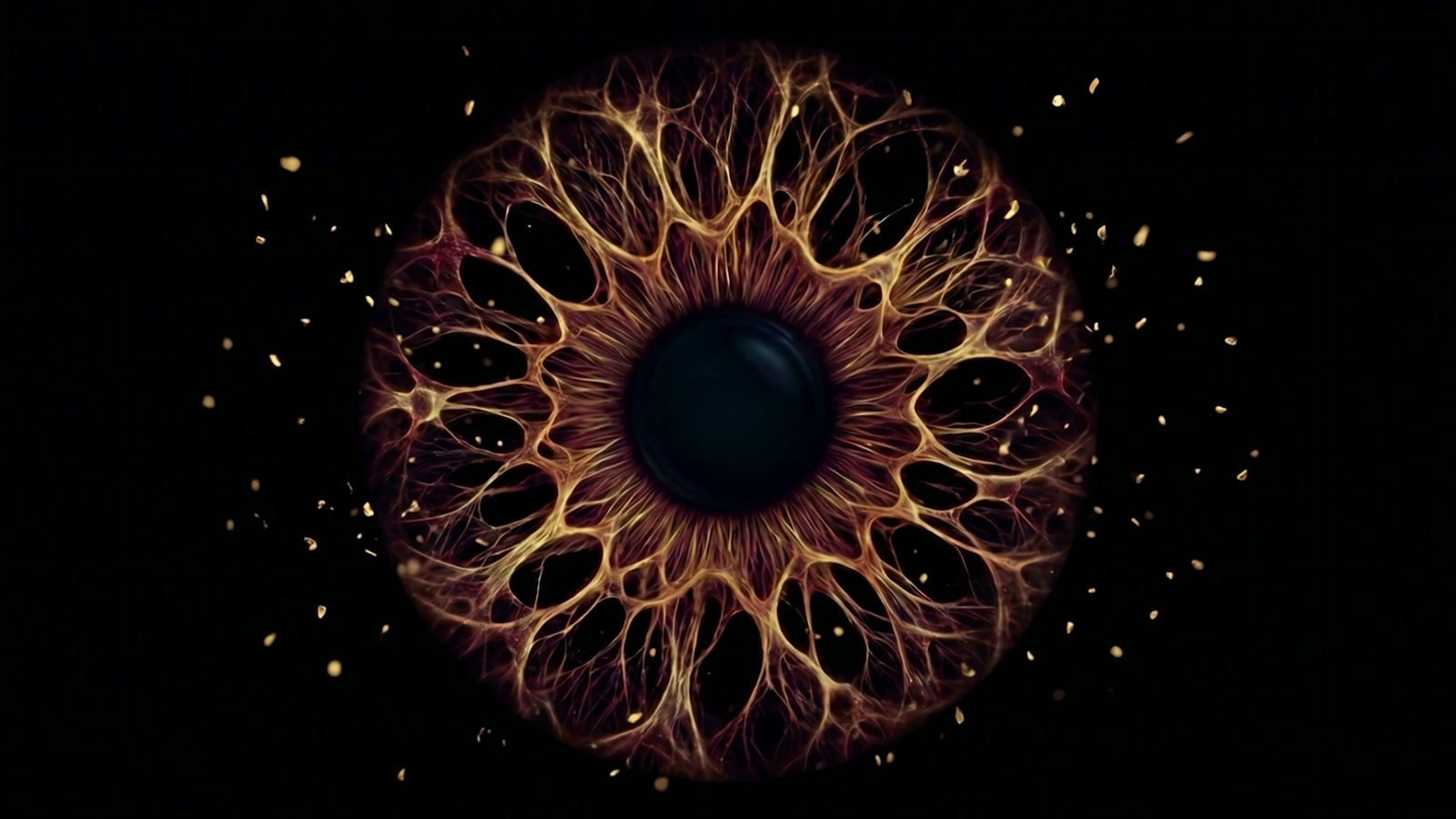The fully formed iris breathing on black