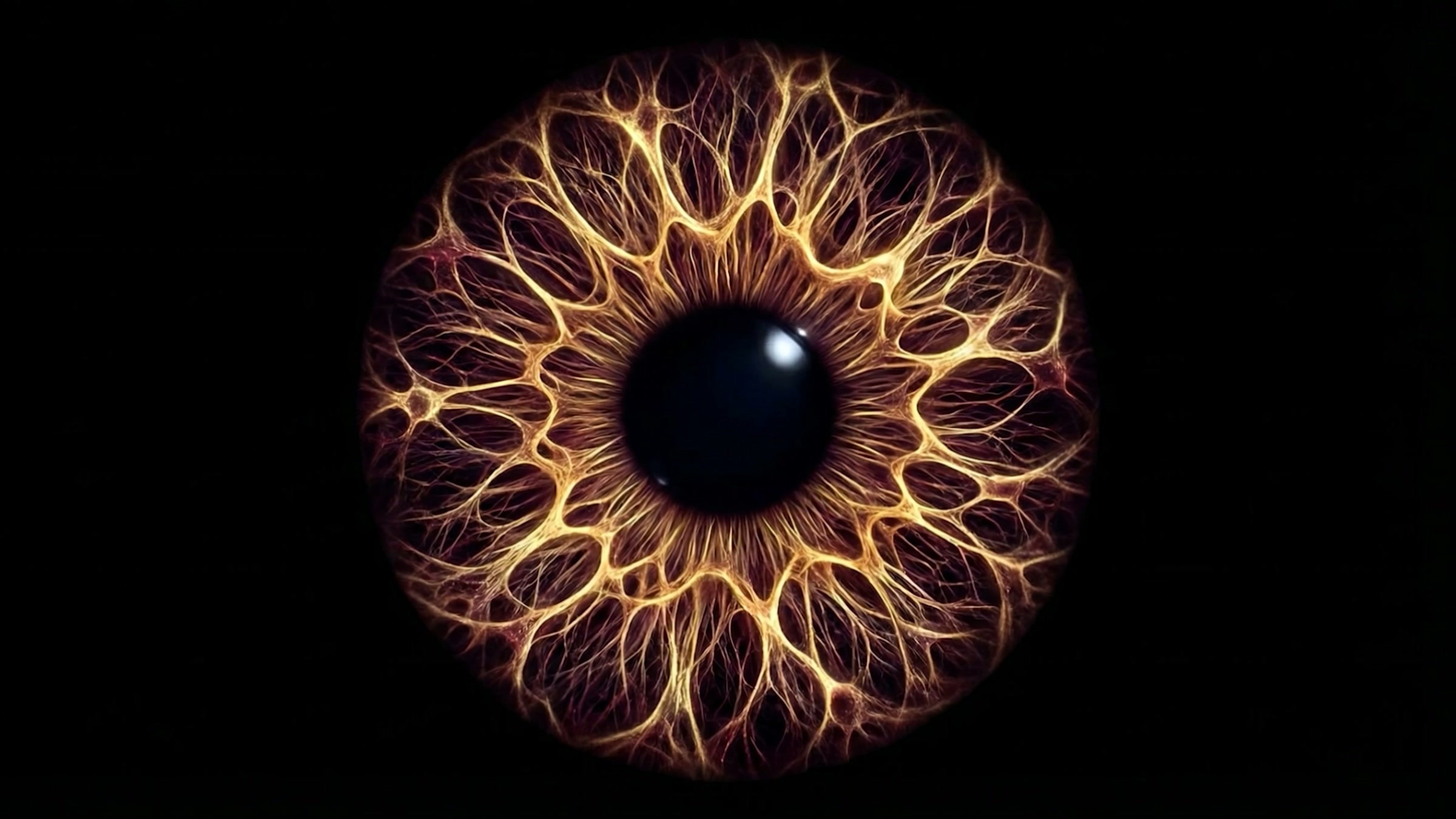 The formed iris from the break piece