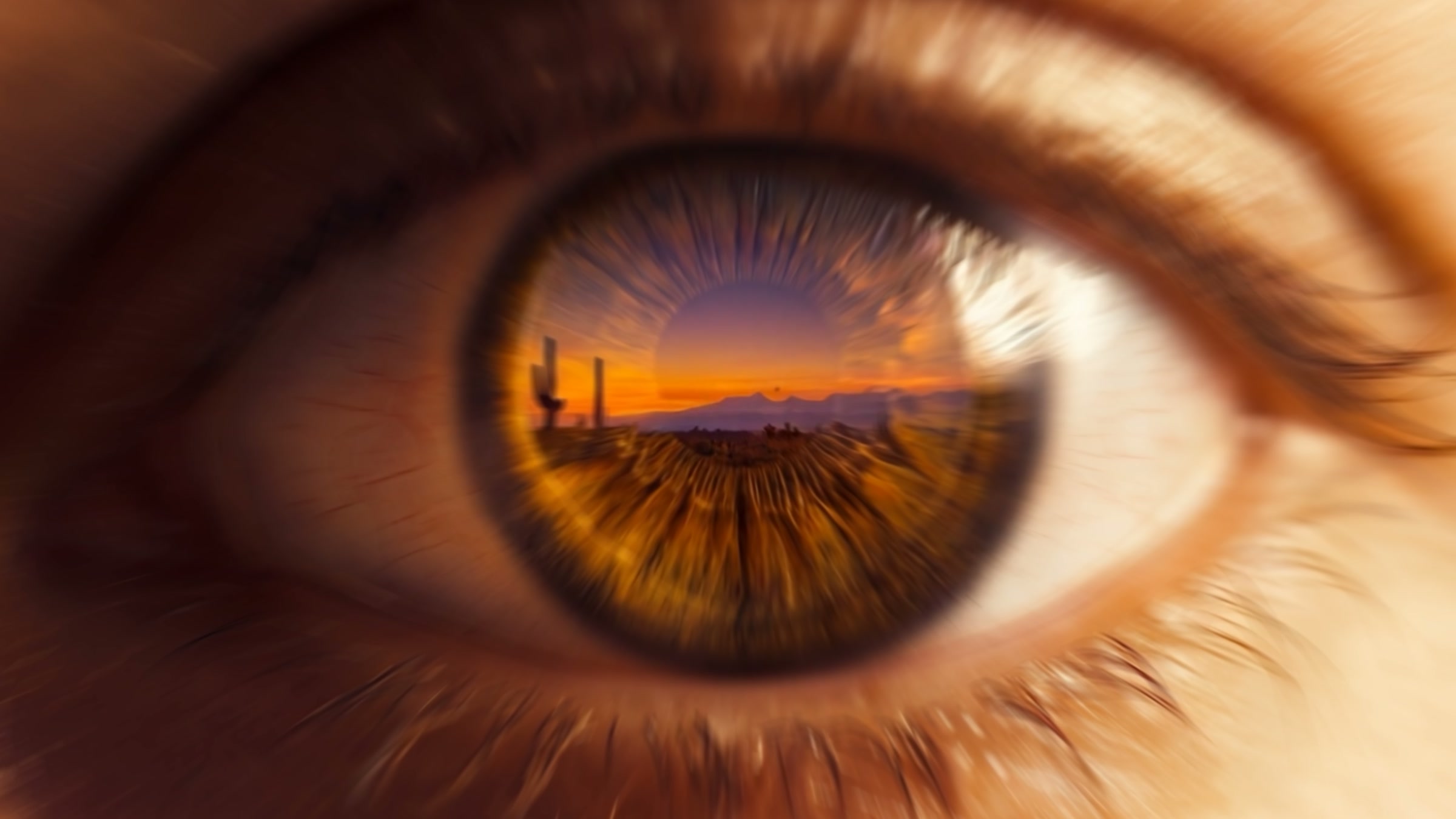 A Sonoran desert sunset reflected inside a human iris